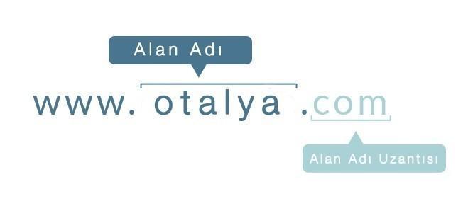 Domain (Alan Adı) Nedir?